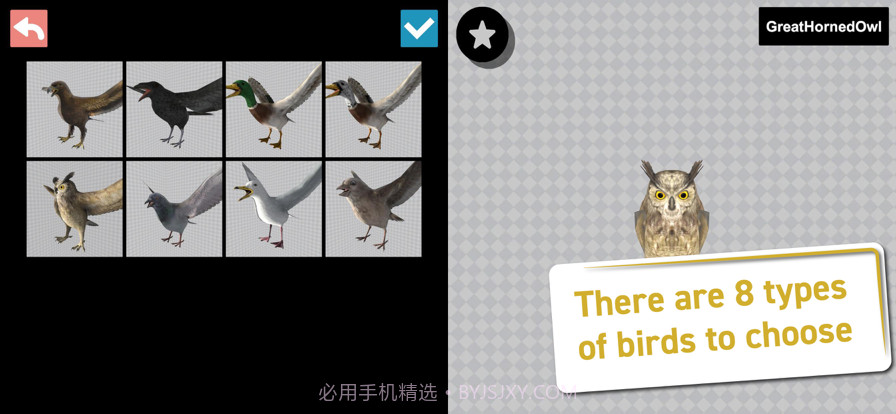 鸟类3D参考截图2 鸟类3D参考截图2