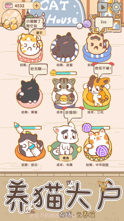 猫咪后院截图1 猫咪后院截图1
