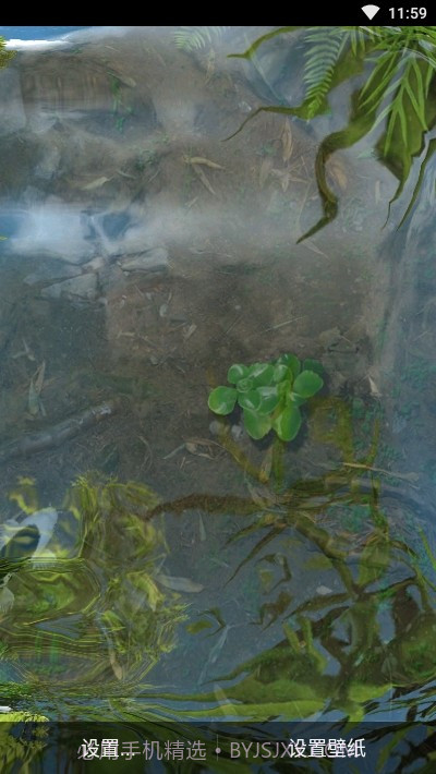 鱼池动态壁纸截图1 鱼池动态壁纸截图1