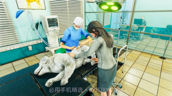宠物手术模拟器截图2 宠物手术模拟器截图2