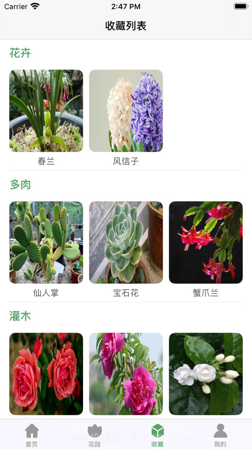 口袋绿植截图8 口袋绿植截图8