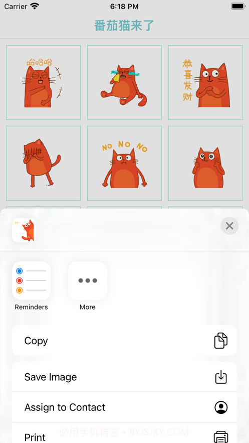 番茄猫来了截图2 番茄猫来了截图2