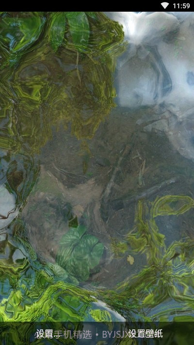 鱼池动态壁纸截图3 鱼池动态壁纸截图3