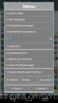 Flash Game Player NEW截图2