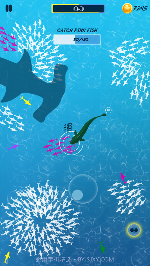 饥饿的鱼喂养和成长截图4