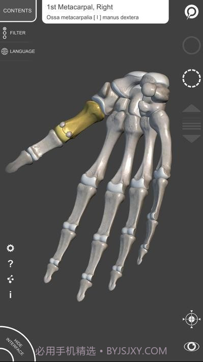 艺术家之3d解剖图截图2 艺术家之3d解剖图截图2