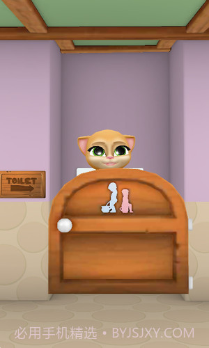 会说话的怀孕艾玛猫截图3