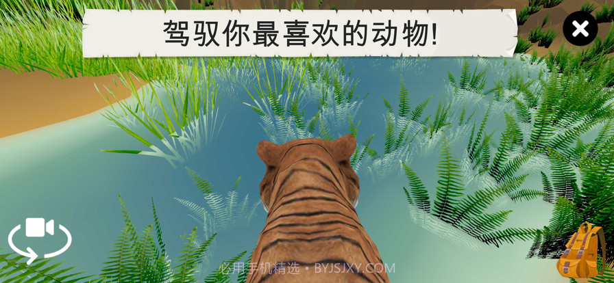 野生动物截图7