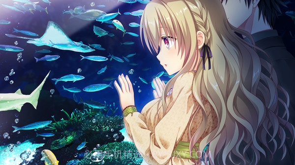 IxSHE Tell中文版截图1