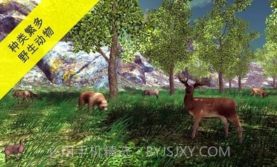 真实采集蘑菇模拟器截图4 真实采集蘑菇模拟器截图4