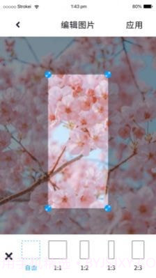 P图照片处理截图3