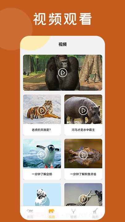 趣味动物园百科知识平台截图2