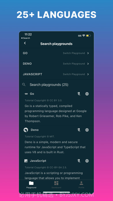 Code Playground截图3