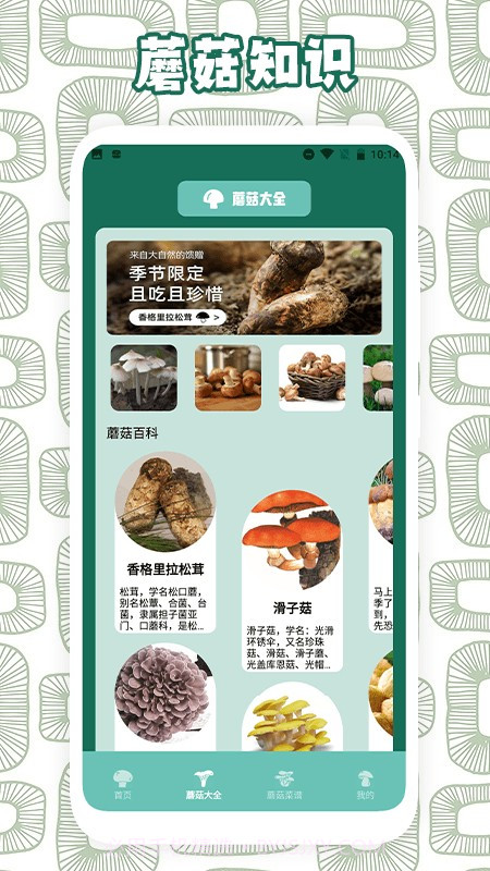 蘑菇识别助手截图1 蘑菇识别助手截图1