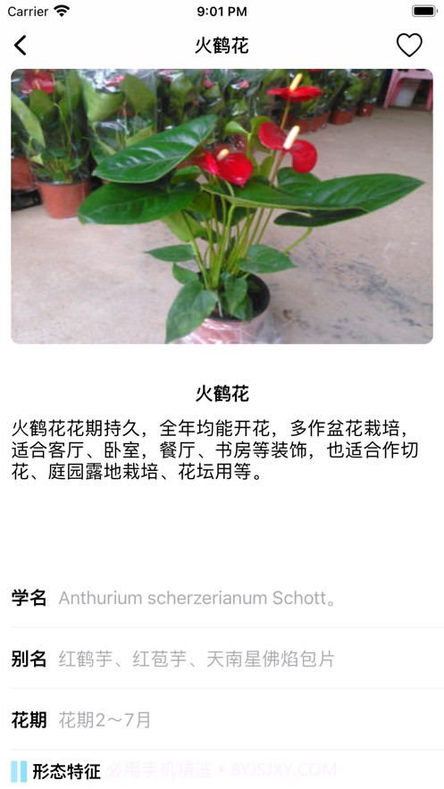 花知识截图2 花知识截图2