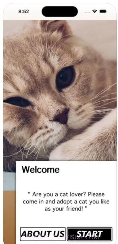 爱猫物语宠物店APP截图1 爱猫物语宠物店APP截图1
