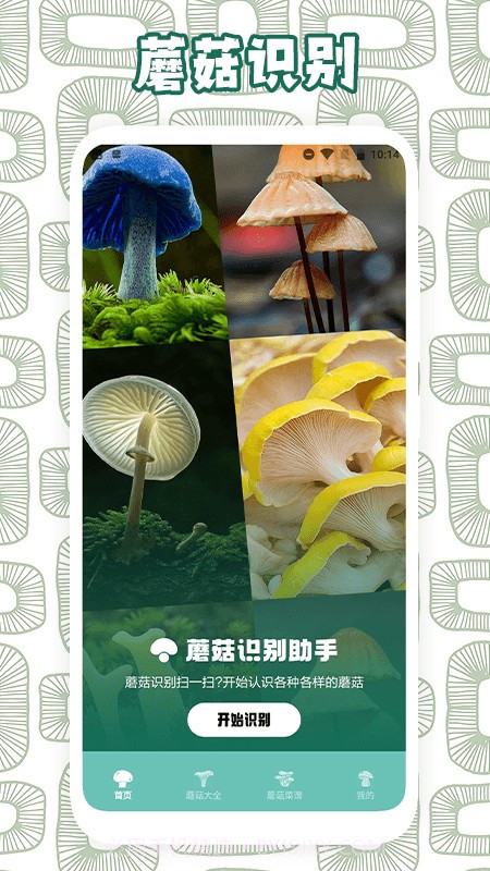 蘑菇识别助手截图4 蘑菇识别助手截图4