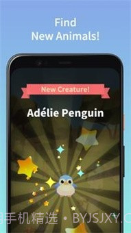 合并可爱的动物截图5