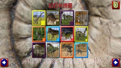 救援恐龙3D乐园截图4 救援恐龙3D乐园截图4