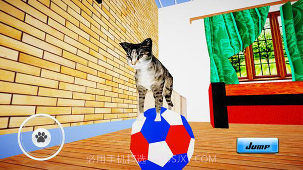 小猫咪生活模拟器截图2 小猫咪生活模拟器截图2