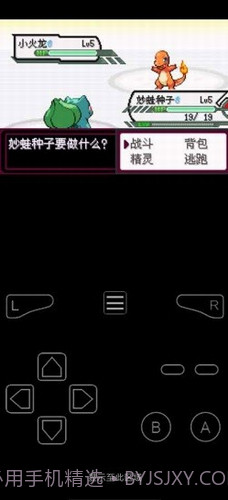 口袋妖怪最后的火红截图2 口袋妖怪最后的火红截图2