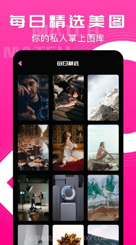 小鸟主题壁纸截图1