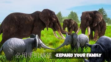 超级大象模拟器截图1 超级大象模拟器截图1
