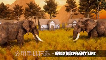 超级大象模拟器截图3 超级大象模拟器截图3