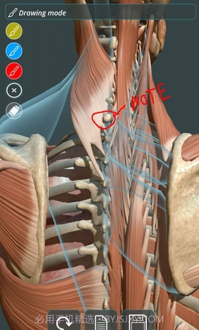 人体3D立体解剖(Visual Anatomy 3D - Human)截图4 人体3D立体解剖(Visual Anatomy 3D - Human)截图4