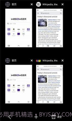 webr浏览器截图2