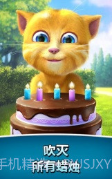 会说话的金杰无限金币版截图2 会说话的金杰无限金币版截图2