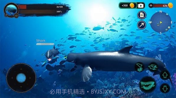 抹香鲸模拟器截图4 抹香鲸模拟器截图4