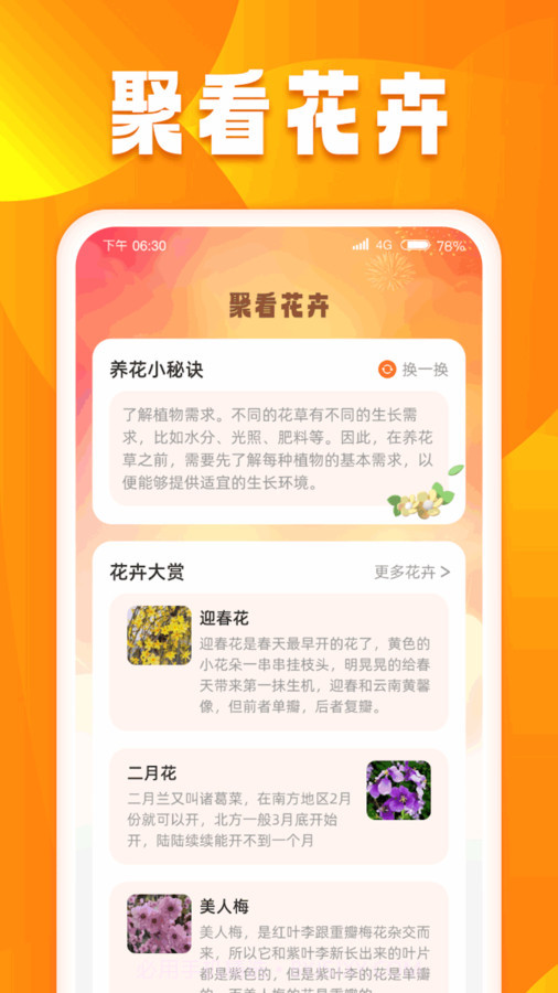 口袋聚看截图3 口袋聚看截图3