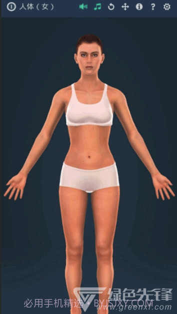 人体系统女性3D软件(专业3D人体结构)V1.1 安卓最新版截图2 人体系统女性3D软件(专业3D人体结构)V1.1 安卓最新版截图2