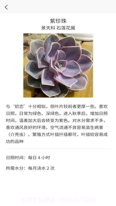 多肉大战截图2 多肉大战截图2