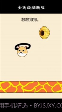 救救狗狗蜜蜂截图2 救救狗狗蜜蜂截图2