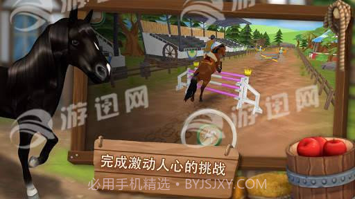 照顾马儿们截图1 照顾马儿们截图1