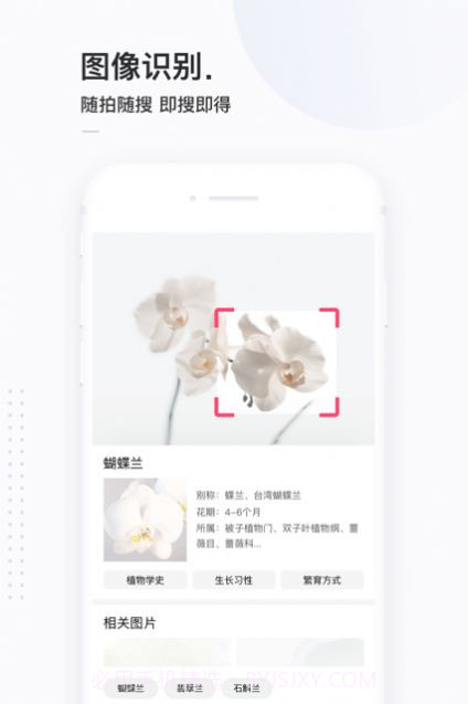 13813搜索截图2 13813搜索截图2