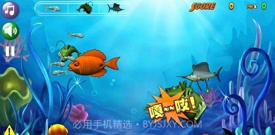 鱼吃鱼截图3 鱼吃鱼截图3