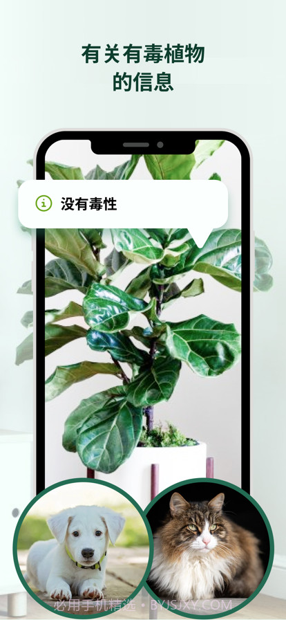 植物花形色拍照识花识别植物截图3 植物花形色拍照识花识别植物截图3