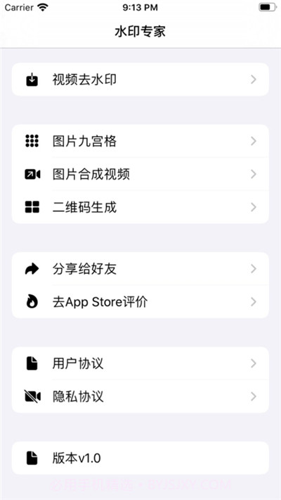 视频水印专家软件截图2