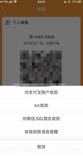 支付宝到账方言版截图3