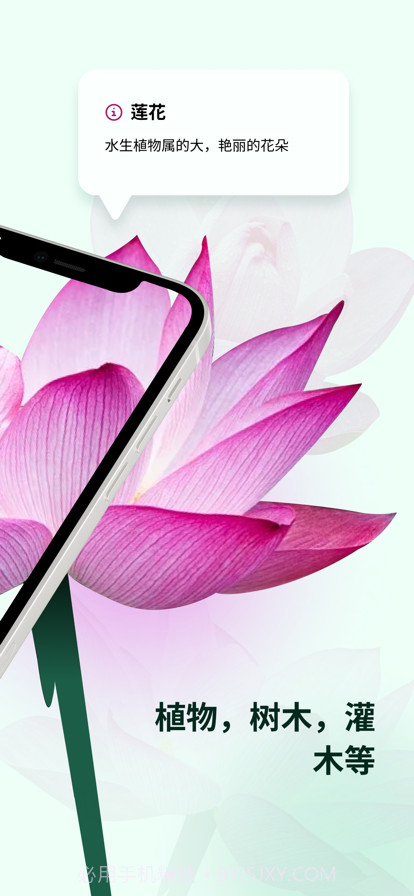 植物花形色拍照识花识别植物截图2 植物花形色拍照识花识别植物截图2