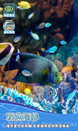 摸鱼模拟器截图2 摸鱼模拟器截图2