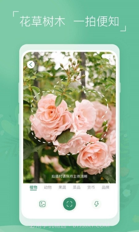 植物识别宝截图3 植物识别宝截图3