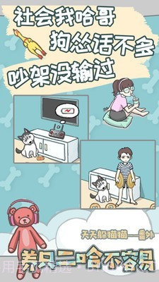 养只二哈不容易截图3 养只二哈不容易截图3