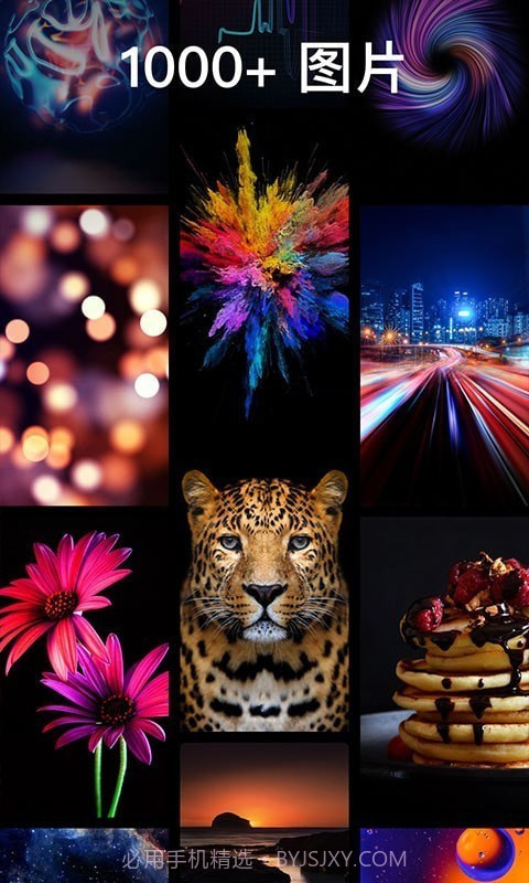 灵猫壁纸大全截图2