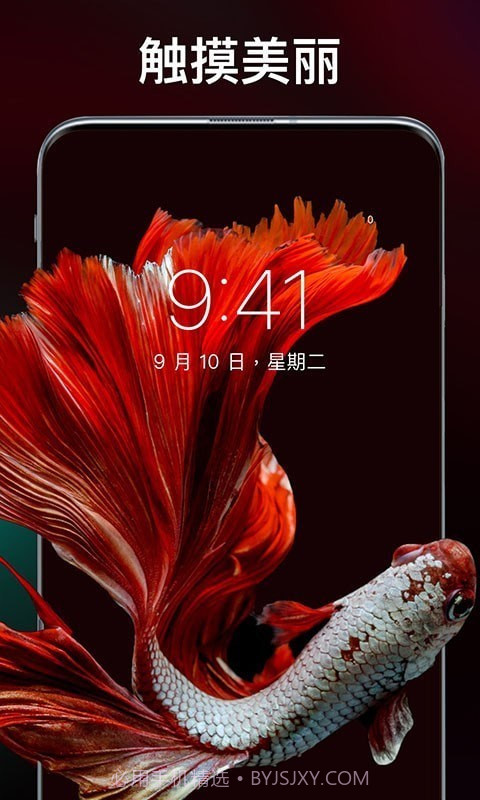 灵猫壁纸大全截图3