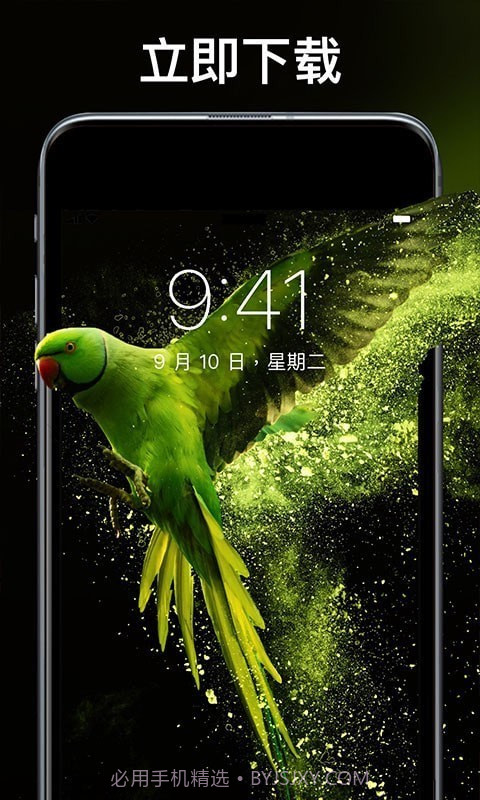 灵猫壁纸大全截图4