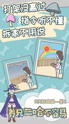 养只二哈不容易截图4 养只二哈不容易截图4